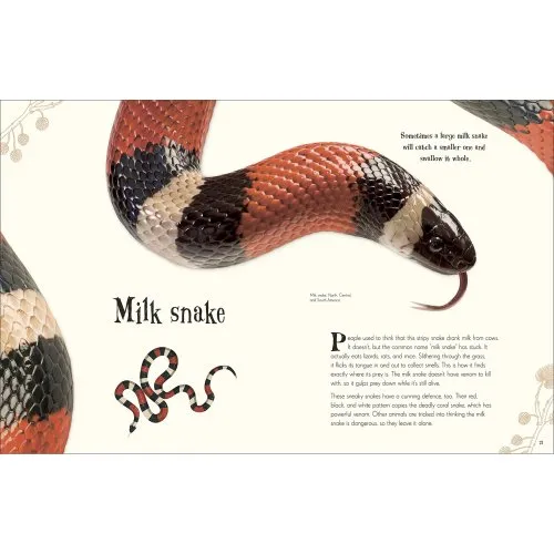 Anthology of Intriguing Animals