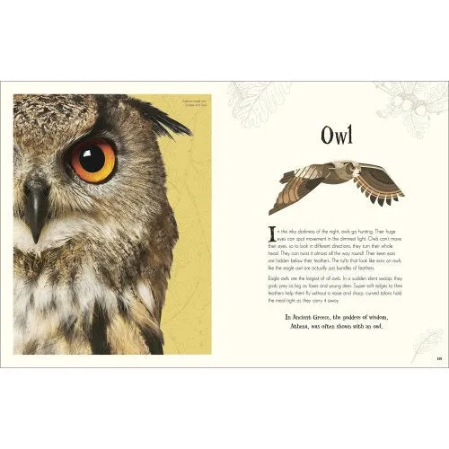 Anthology of Intriguing Animals