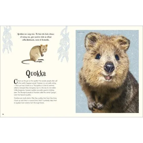 Anthology of Intriguing Animals