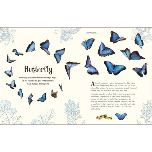 Anthology of Intriguing Animals