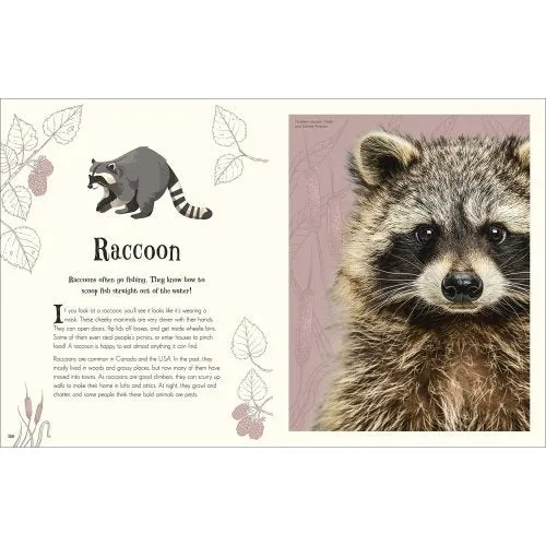 Anthology of Intriguing Animals