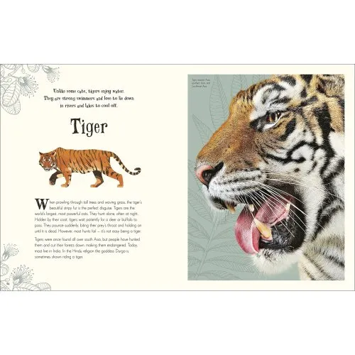 Anthology of Intriguing Animals