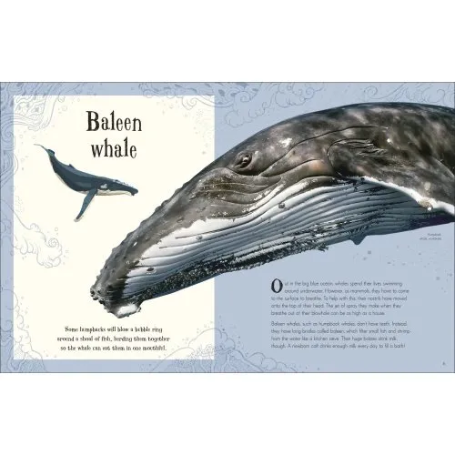 Anthology of Intriguing Animals